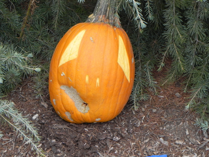 Hey, Nipomo Pumpkin Patch best carving idea